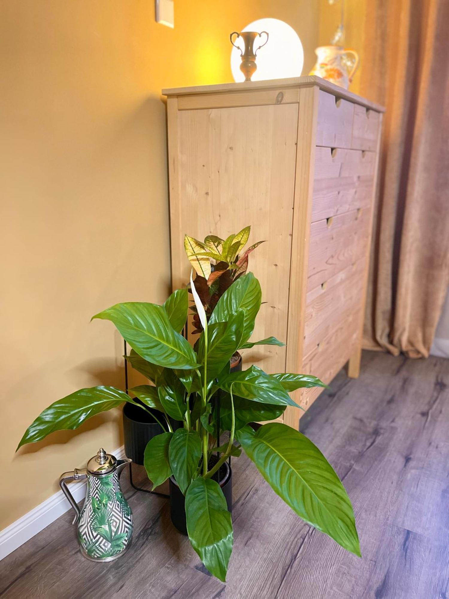וופרטל Terracotta Apartment - Zentral, Parken, Netflix, Kontaktloses Einchecken, Kingsize-Bett מראה חיצוני תמונה